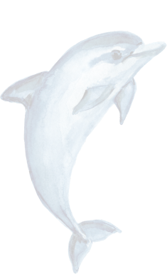 Marine Services India